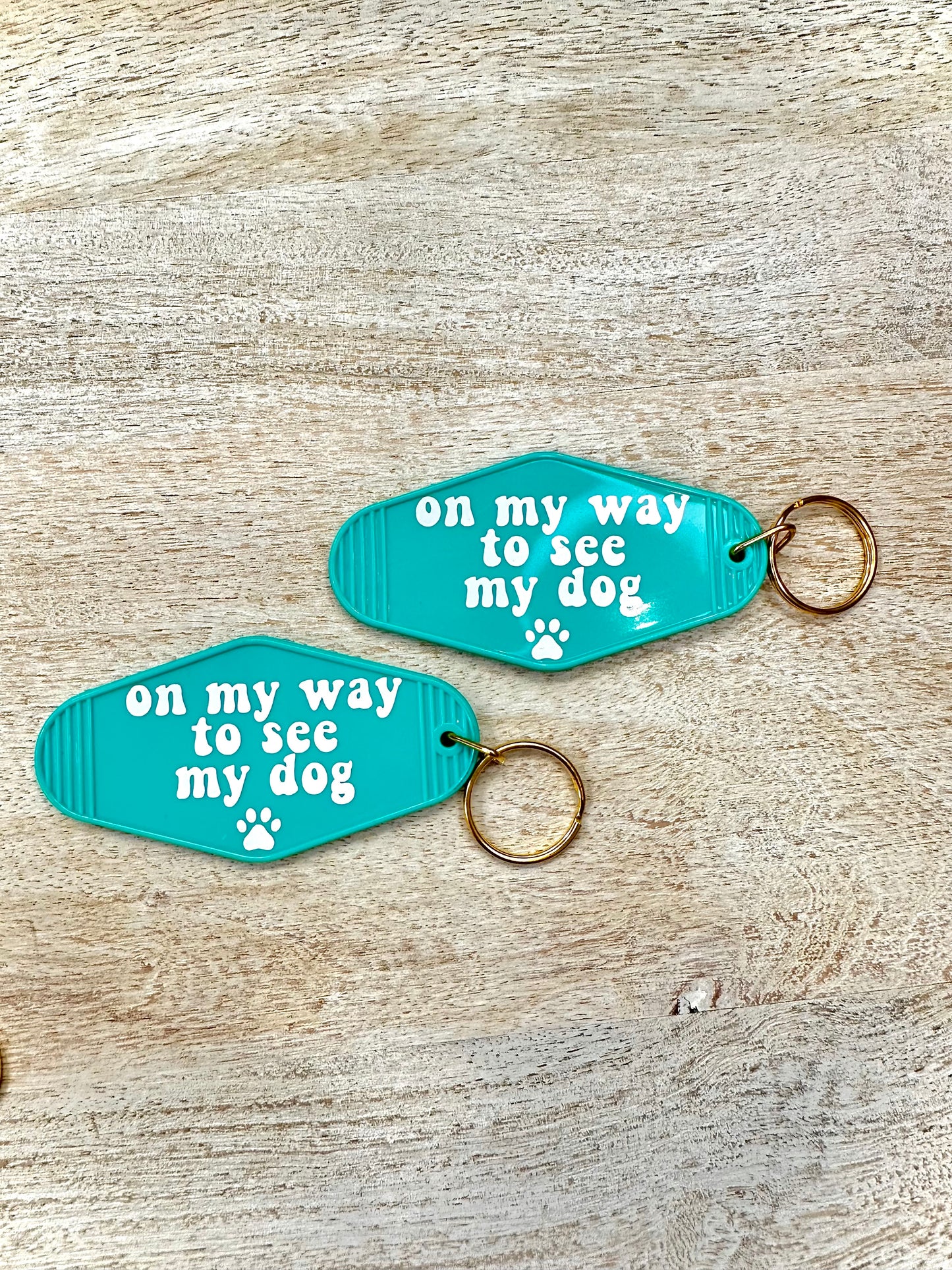 On My Way to See My Dog Keychain